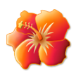 Hibisco