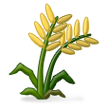 Planta De Arroz