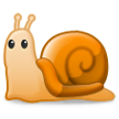 Caracol