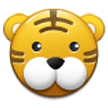 Rosto De Tigre