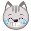 Kot ze łzami radości