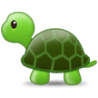 Żółw
