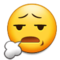 وجه مكروب
