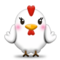 دجاجة