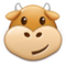 وجه بقرة