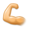 عضلة الذراع