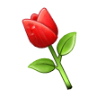 زهرة