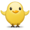 كتكوت صغير بوجه للأمام
