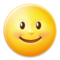 وجه البدر