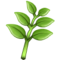 عشب
