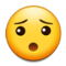 وجه صامت