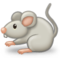 جرذ