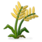 حزمة من الأرز