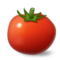 طماطم