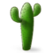 Cacto Cacto