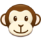 Rosto De Macaco Rosto De Macaco