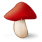 Cogumelo Cogumelo