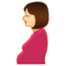 Mulher Grávida Mulher Grávida
