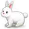Coelho Coelho