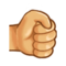 Punho Direito Punho Direito