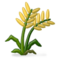 Planta De Arroz Planta De Arroz
