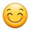 Rosto Sorridente Com Olhos Sorridentes Rosto Sorridente Com Olhos Sorridentes