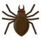 Aranha Aranha