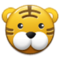 Rosto De Tigre Rosto De Tigre