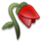 Flor Murcha Flor Murcha