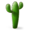 Cactus Cactus
