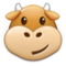 Muso Di Mucca Muso Di Mucca