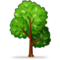 Albero Deciduo Albero Deciduo