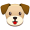 Muso Di Cane Muso Di Cane