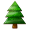 Albero Sempreverde Albero Sempreverde