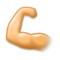 Bicipite Bicipite