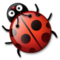 Coccinella Coccinella