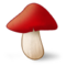 Fungo Fungo