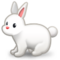 Coniglio Coniglio