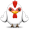 Gallo Gallo