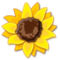 Girasole Girasole