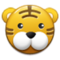 Muso Di Tigre Muso Di Tigre