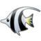 Pesce Tropicale Pesce Tropicale