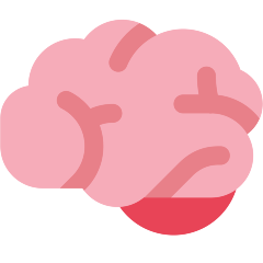 Brain