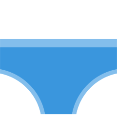Briefs