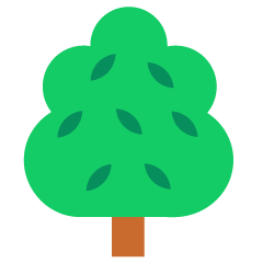 Deciduous Tree
