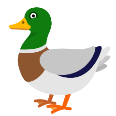 Duck