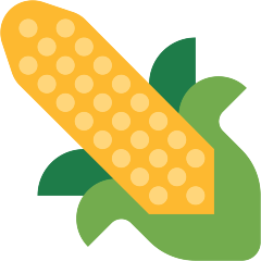 Ear of Corn