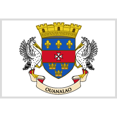 Flag: St. Barthélemy