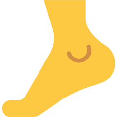 Foot