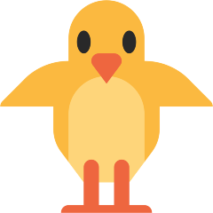 Front-Facing Baby Chick